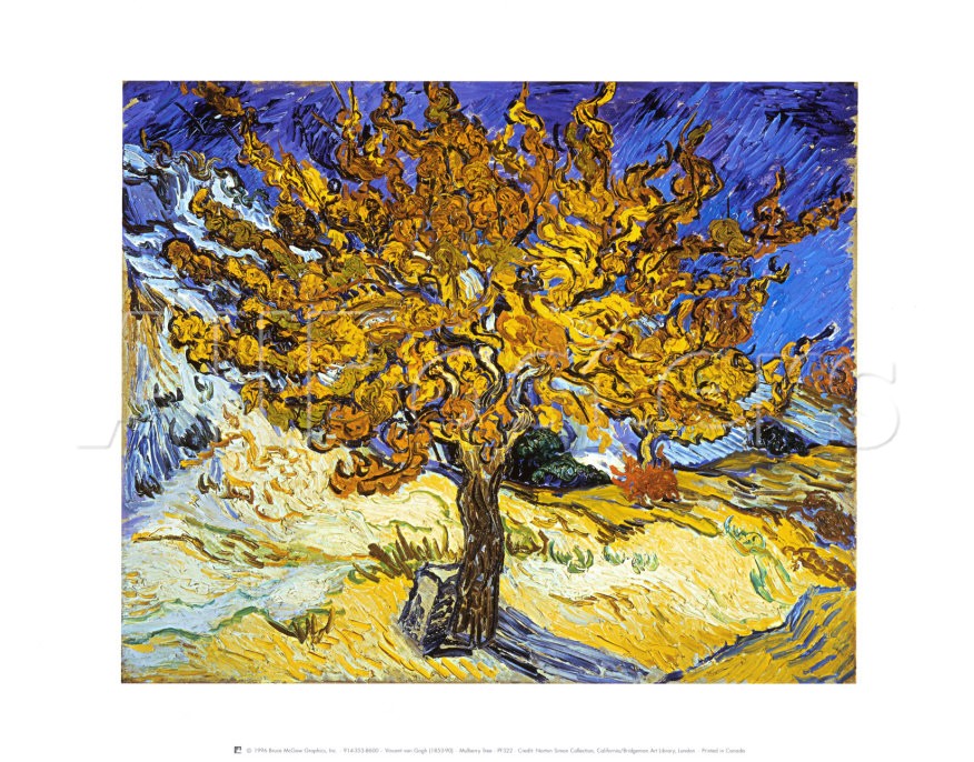 Mulberry Tree - Vincent Van Gogh Paintings